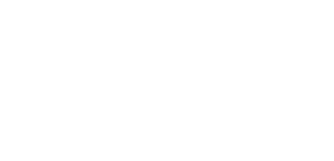 Martin Insurance Group - Logo 800 White